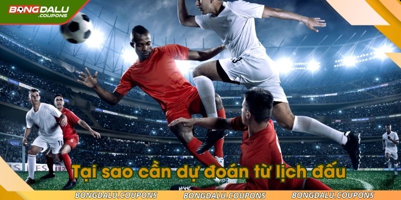 Tại sao người chơi cần dự đoán từ lịch đấu 