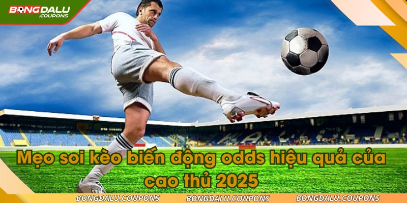 soi-keo-bien-dong-odds-ava